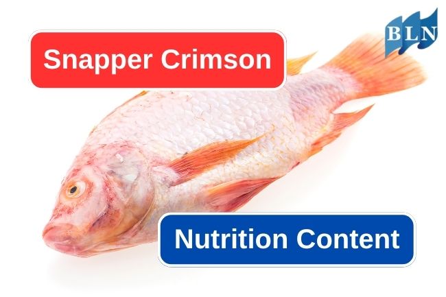 These Are 6 Nutrition You Get From Crimson Snapper
